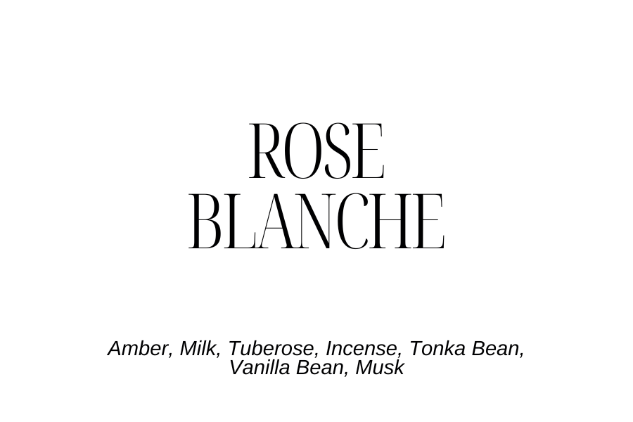 Rose Blanche